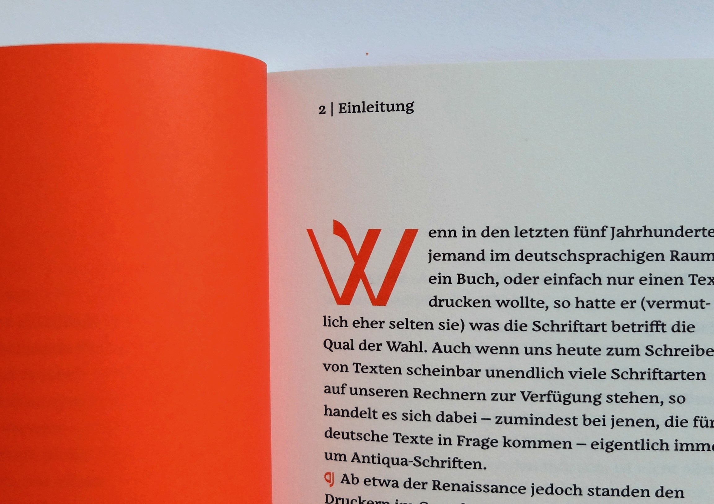 Künstlerische Wurstvogel-Illustration 12